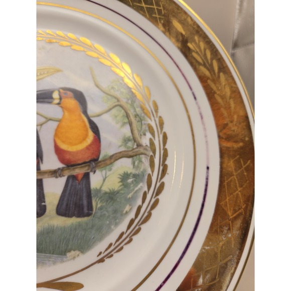 Large Decorative Plate Hand Painted Royal Copenhagen Denmark Tucans Bird Motiff - Picture 3 of 10